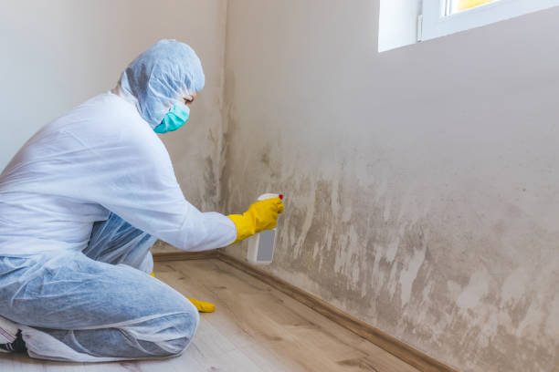 Licensed Mold Testing service in Granville, PA - WQB Mold Removal